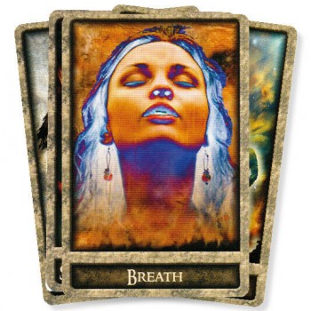 Shamans Path Message Kortos Animal Dreaming